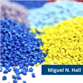 Miguel N. Hall